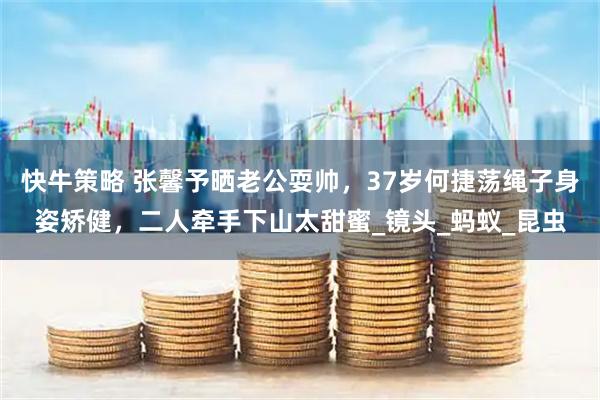 快牛策略 张馨予晒老公耍帅，37岁何捷荡绳子身姿矫健，二人牵手下山太甜蜜_镜头_蚂蚁_昆虫
