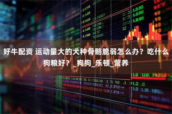 好牛配资 运动量大的犬种骨骼脆弱怎么办？吃什么狗粮好？_狗狗_乐顿_营养